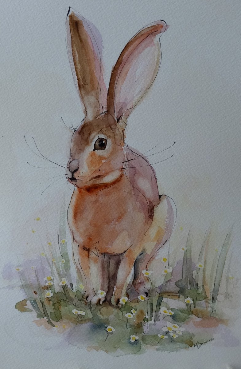 Baby faced hare by Mel Davies Original Art