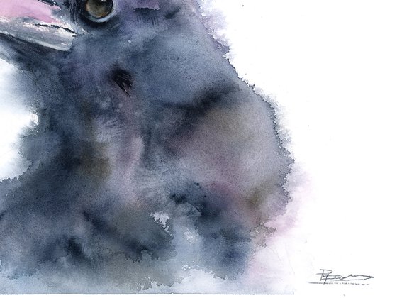 Crow
