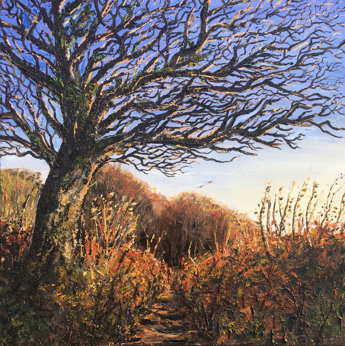 Landscape Oil Painting By Lucy Smerdon, 20 X 20", Winter Walk, Dartmoor, Original Artwork