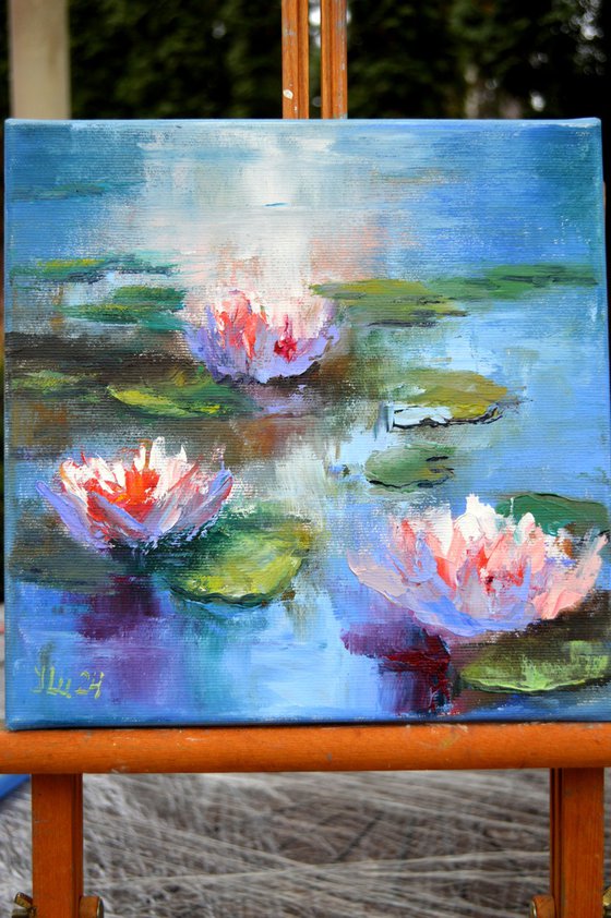 Sunny water lilies