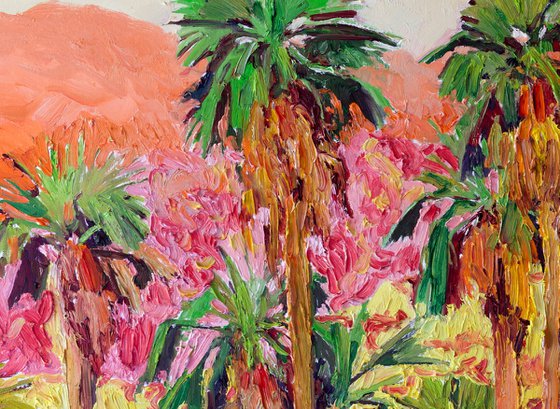 Desert Palm Trees