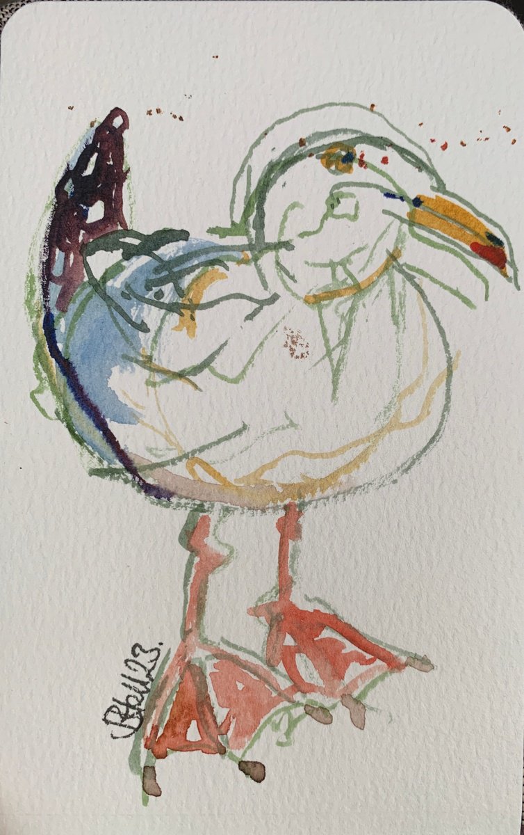 The Seagull (Miniature Watercolour) by Hanna Bell