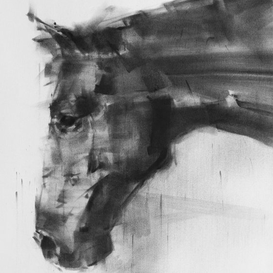 Horse Portrait 02