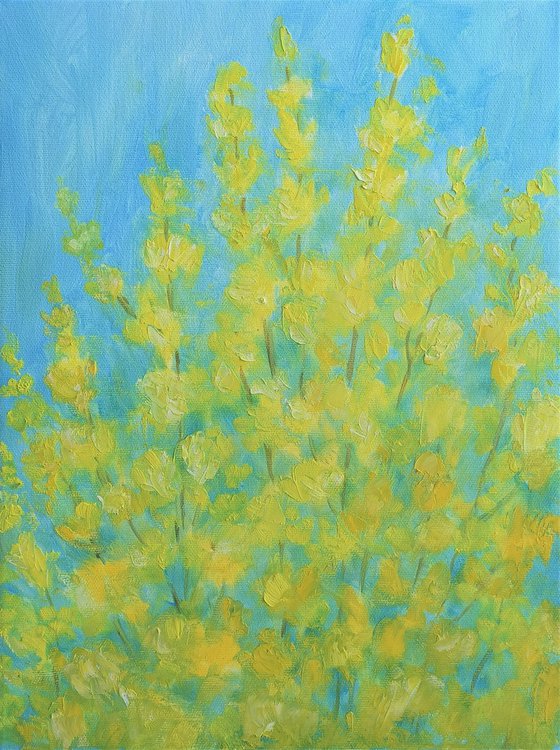 Forsythia