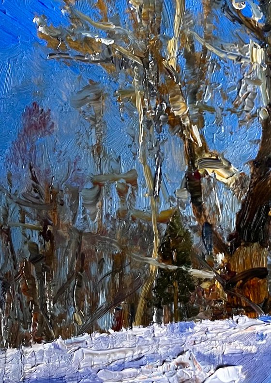 Century - old poplar