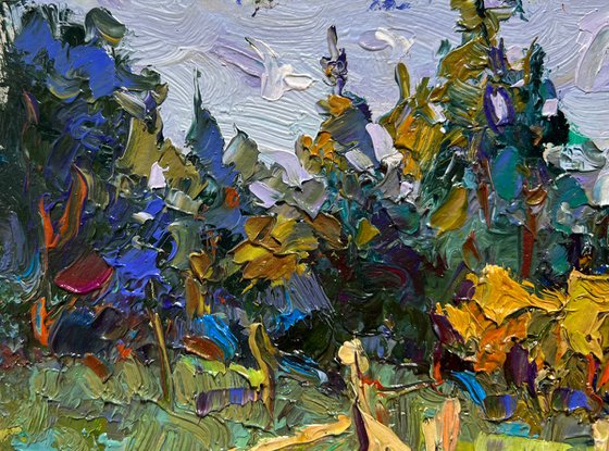 House near the forest