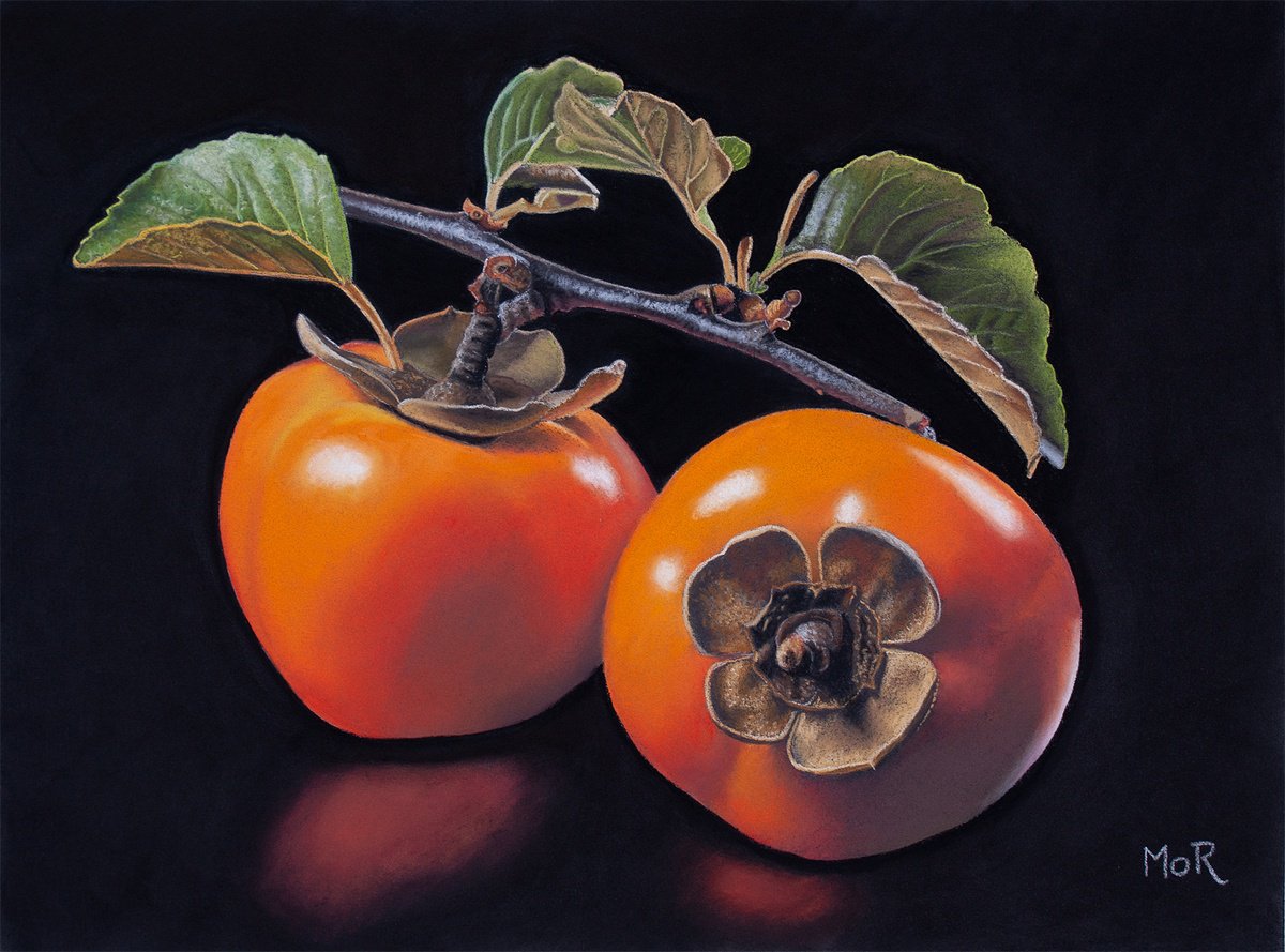 Two Persimmons on a Twig by Dietrich Moravec
