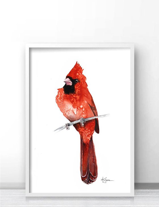 Northern cardinal 21x30cm, wildlife watercolours