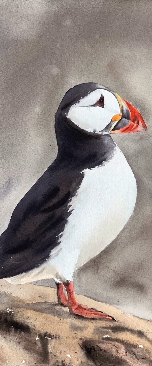 Puffin II by Oksana Lebedeva