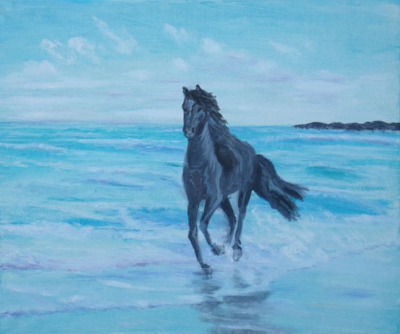 Horse at the sea