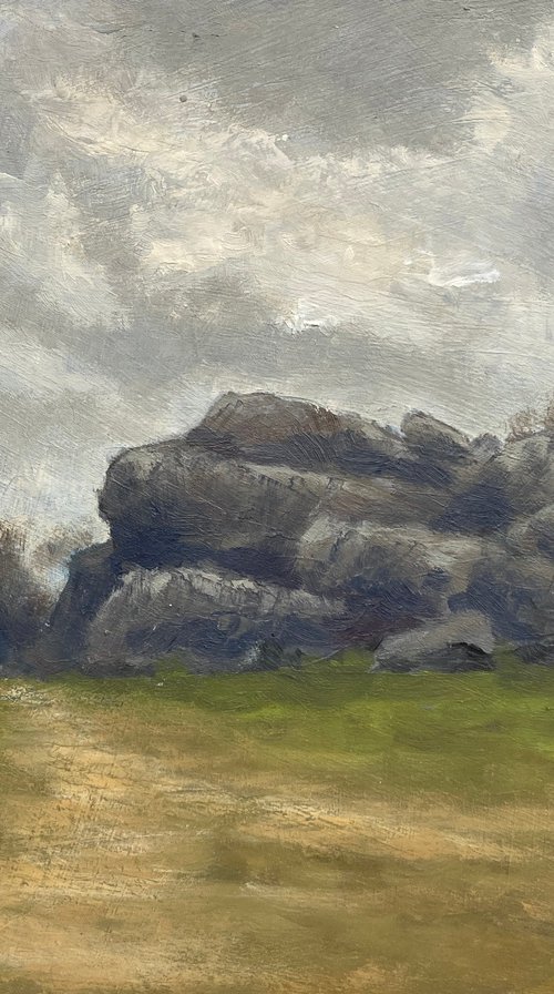 The Rock Dartmoor near Yelverton. by David Mather