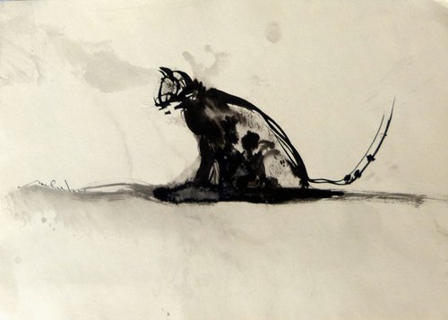 Simply the cat, 21x29 cm by Frederic Belaubre