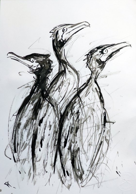 CORMORANS, EXPRESSIVE INK drawing