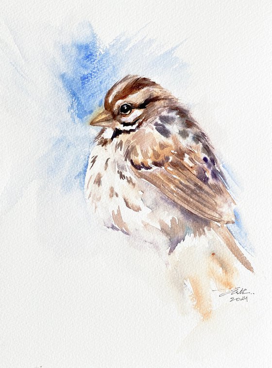 Song Sparrow