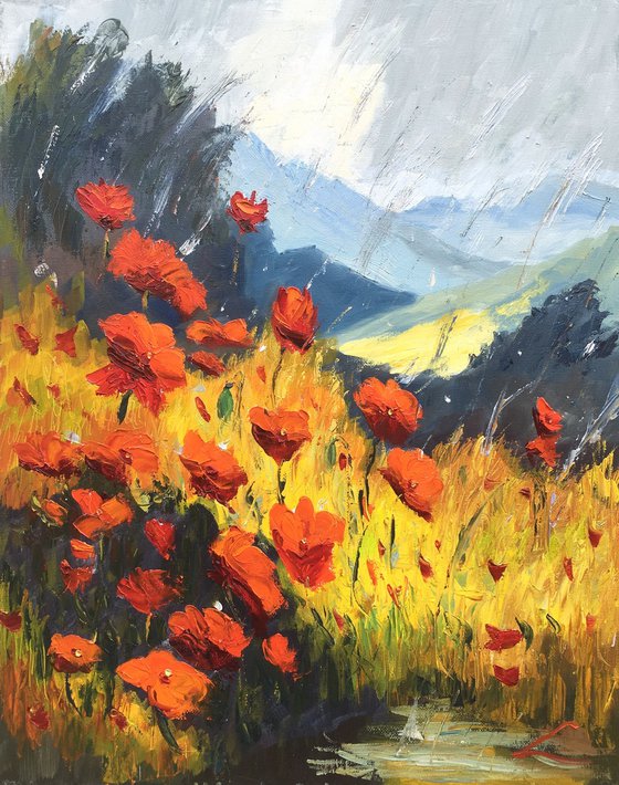 Poppies in rain