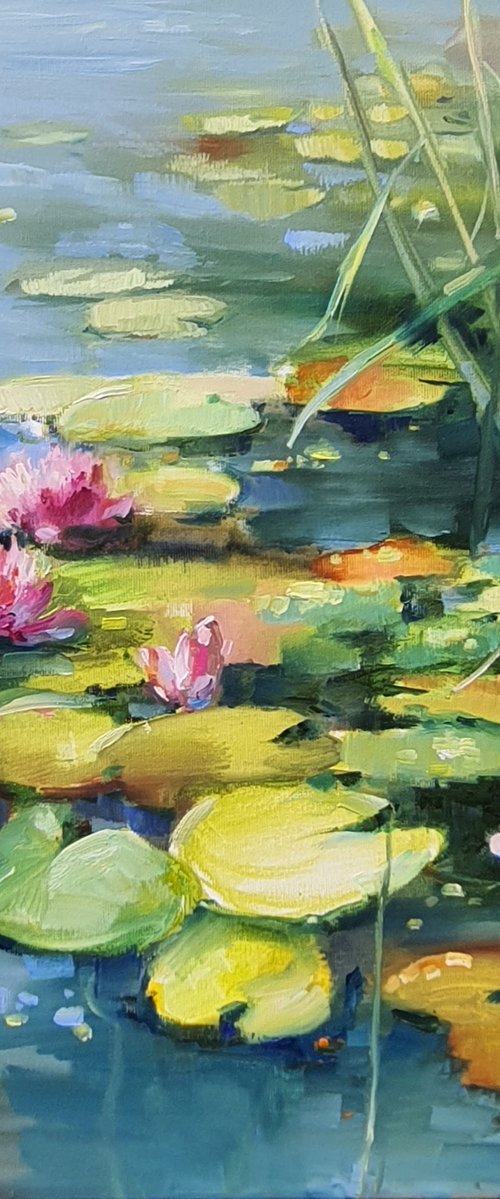 pink water lilies by Olha Laptieva