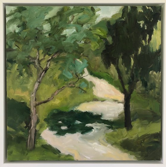forest valley