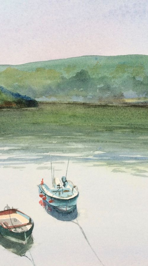 Pembrokeshire coast 2 by Silvie Wright