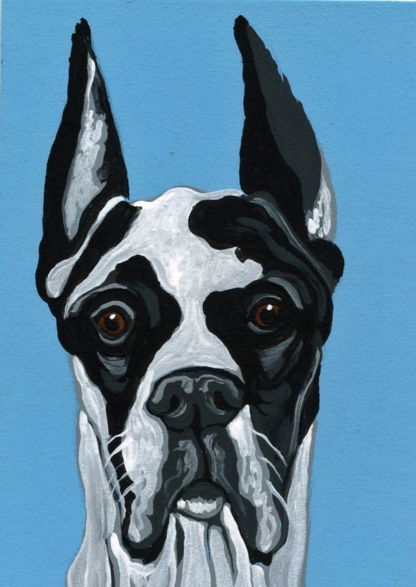 ACEO ATC Original Miniature Painting Harlequin Great Dane Pet Dog Art-Carla Smale by carla smale