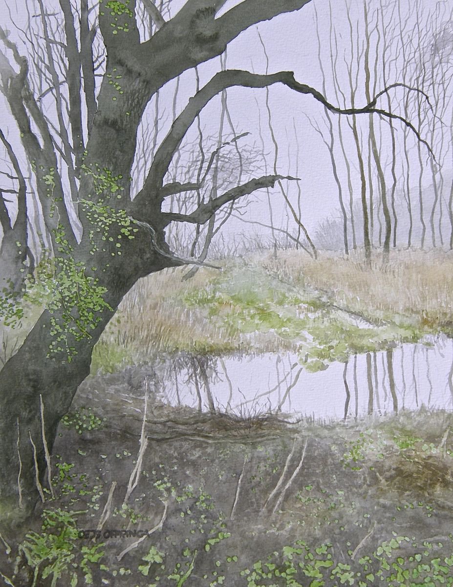 The old oak near the river by Oeds Offringa