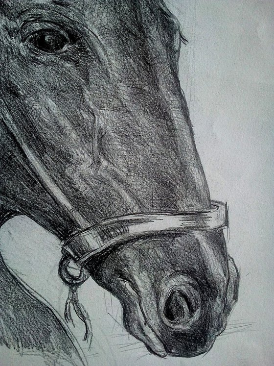 Pencil horse