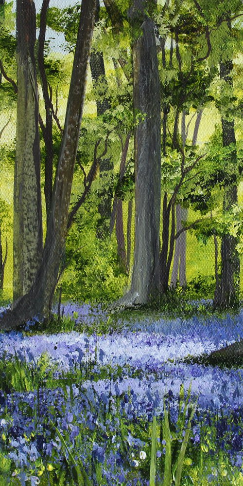 Bluebell Woods by Valerie Jobes