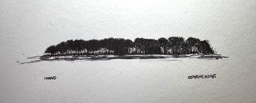 Trees in Pen and Ink - Norfolk Landscape by Catherine Winget