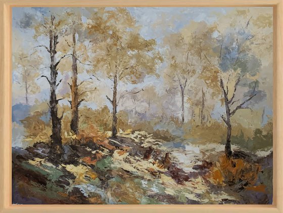 Autumn Light,Golden Woods.