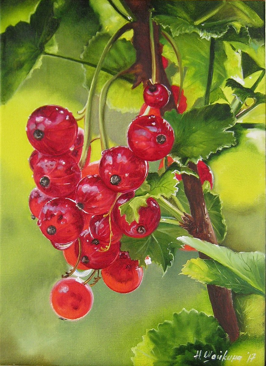 Redcurrents Original oil Painting, Red Berry Painting on Canvas, Fine art, Painting Redcur... by Natalia Shaykina