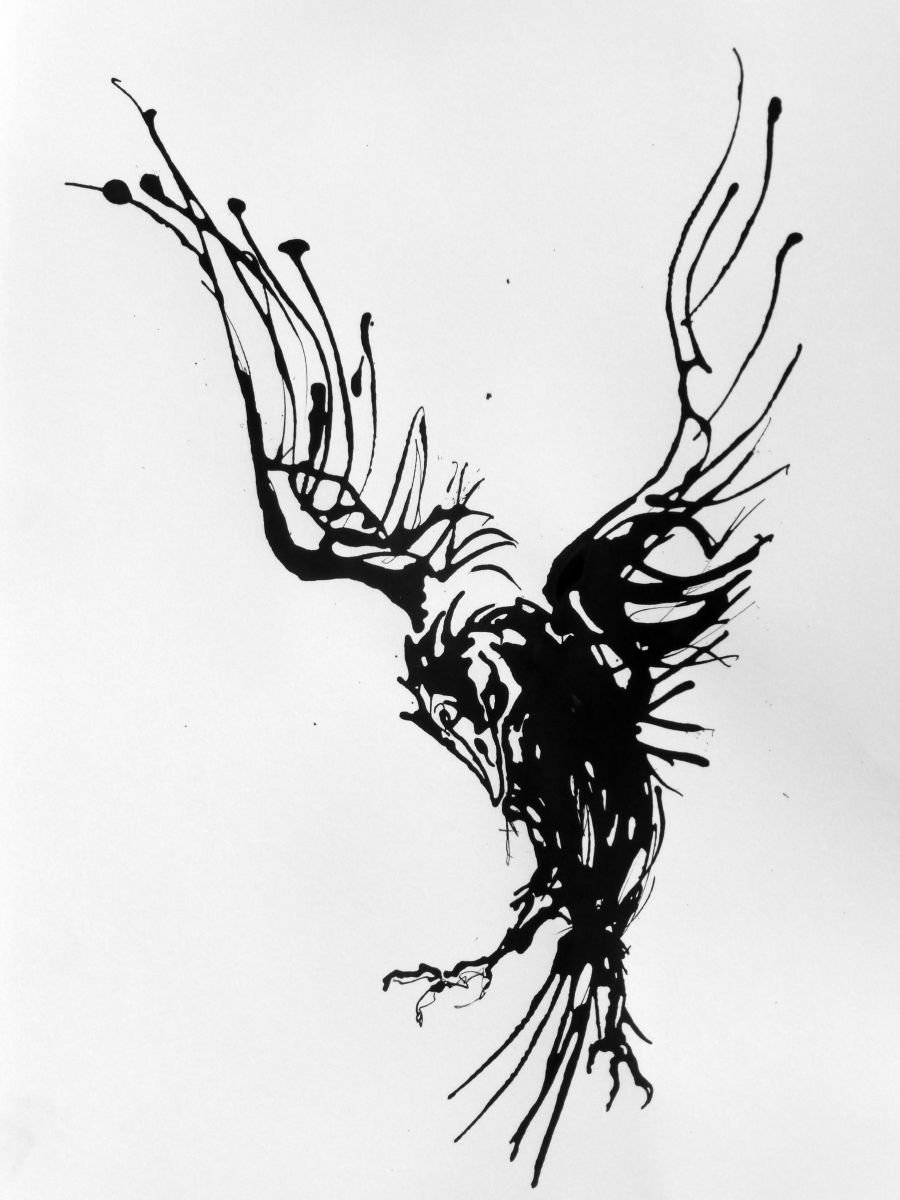 Animal Ink Drawing By John Sharp, 17 X 23, Raven No.4, Original Artwork