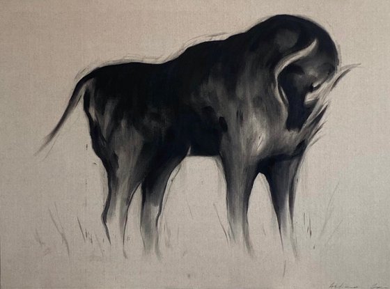 Black Bison