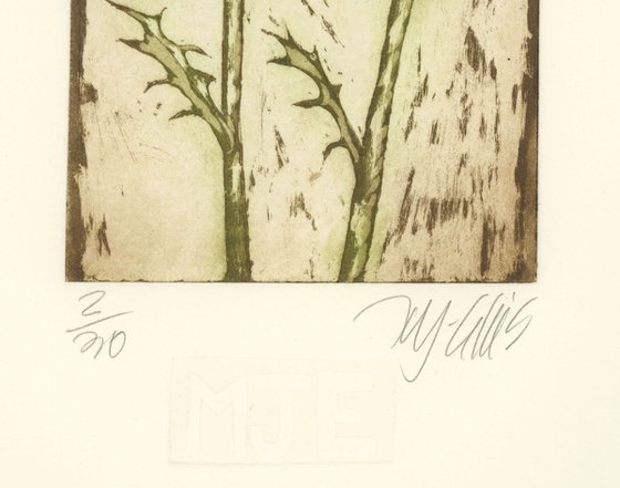 Thistle