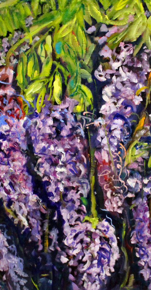 WISTERIA ARBOR 2 by Maureen Finck