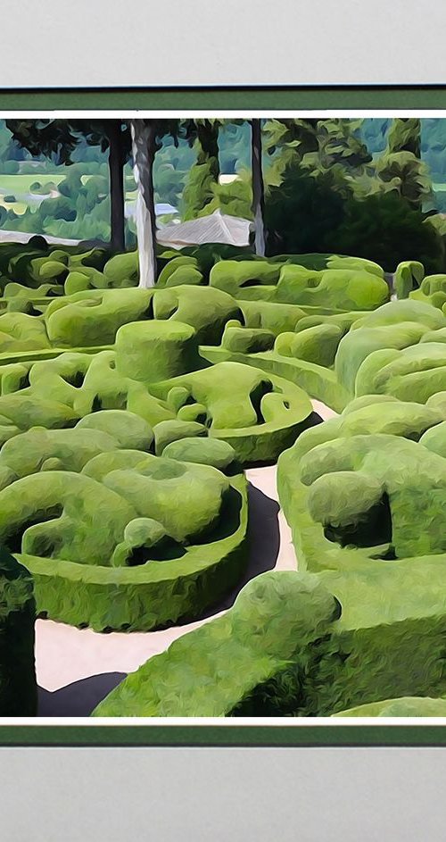 Topiary, France. by Robin Clarke