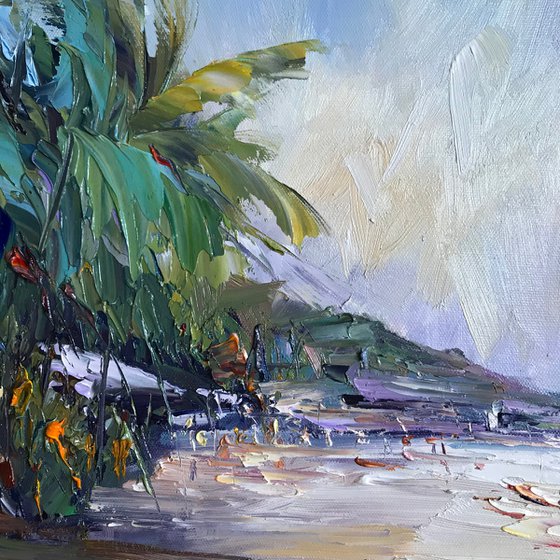 Noosa's Main beach No 11