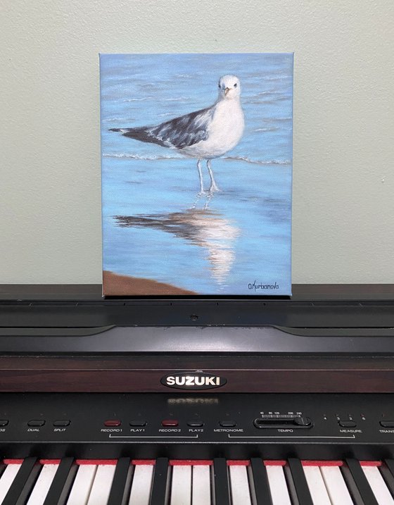 Seagull on the beach