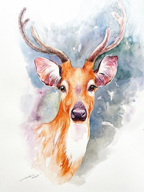 Wild Grace-Chital