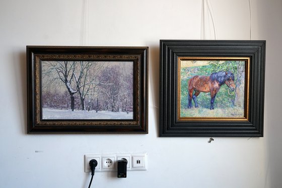 Maple Alley in January