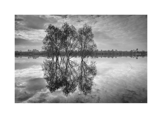 Spring Mirror.