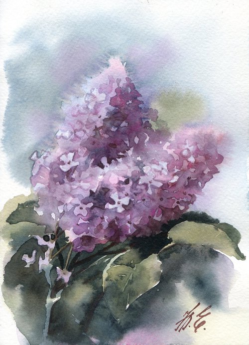Lilac by Yulia Evsyukova
