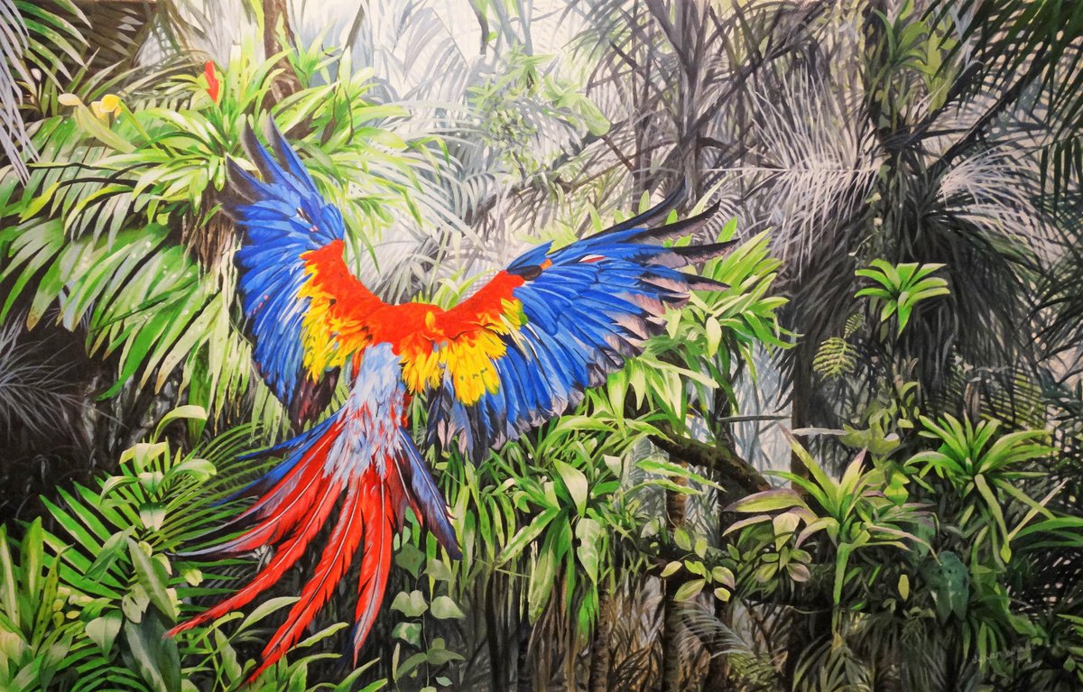 Flight to freedom,Scarlet Macaw by Julian Wheat