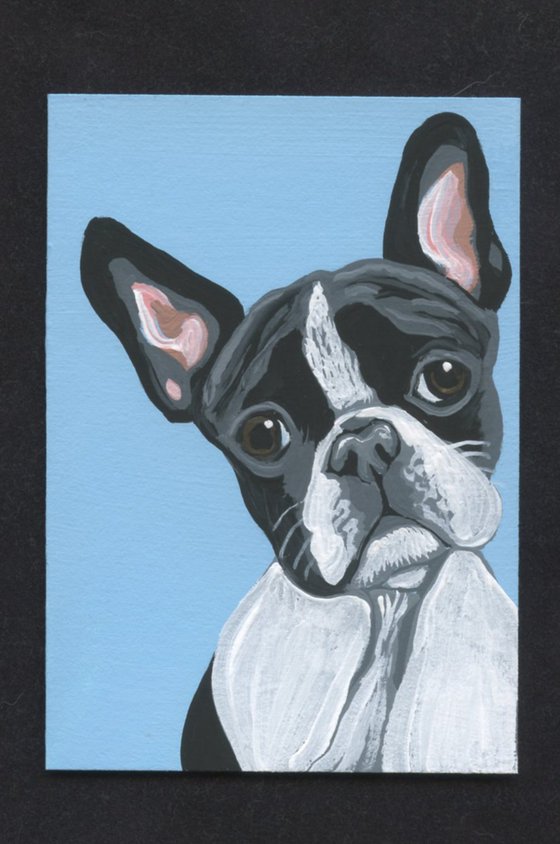 ACEO ATC Original Miniature Painting Boston Terrier Pet Dog Art-Carla Smale