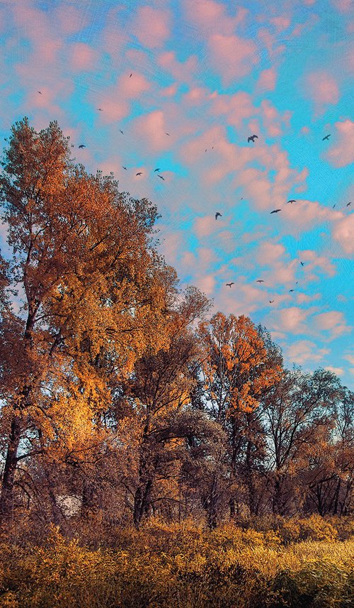 Autumn under vanilla sky. by Valerix