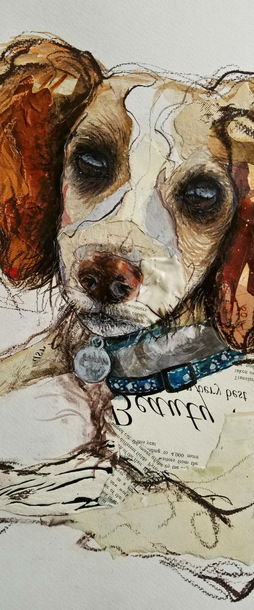 Commissioned dog Chester by Nevena Kostić