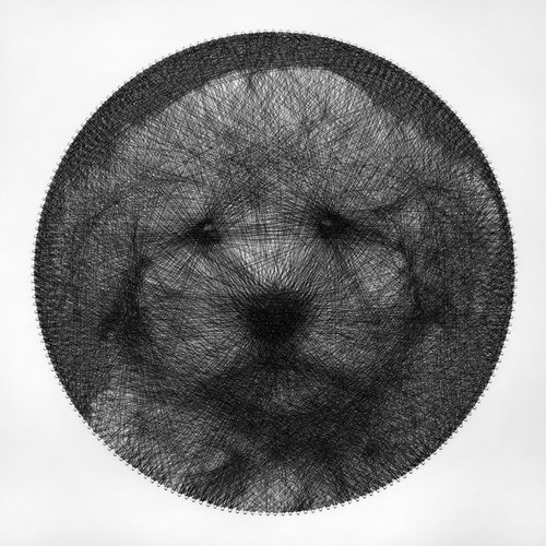 Cockapoo puppy string art portrait by Andrey Saharov