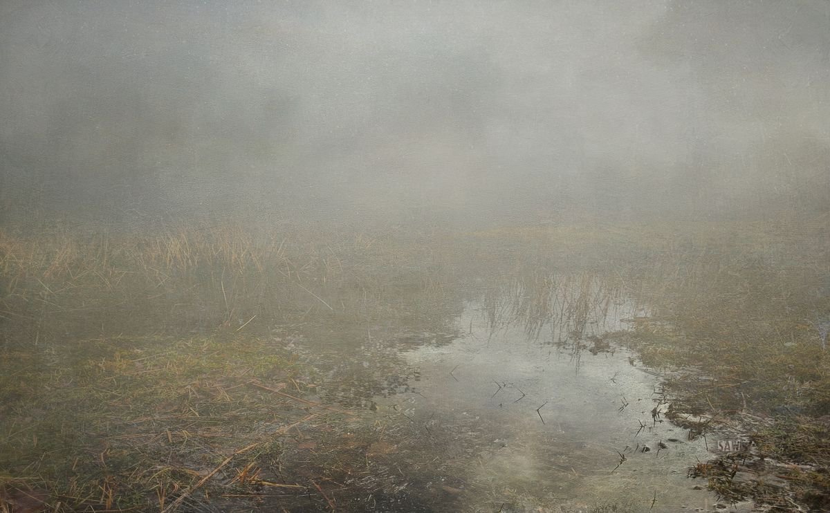 Wet Lands by Simon Antony Wilson