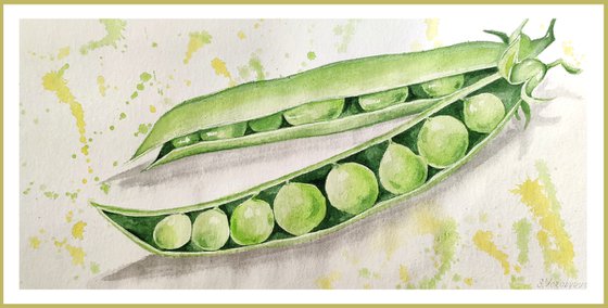 Green peas. Watercolor painting.