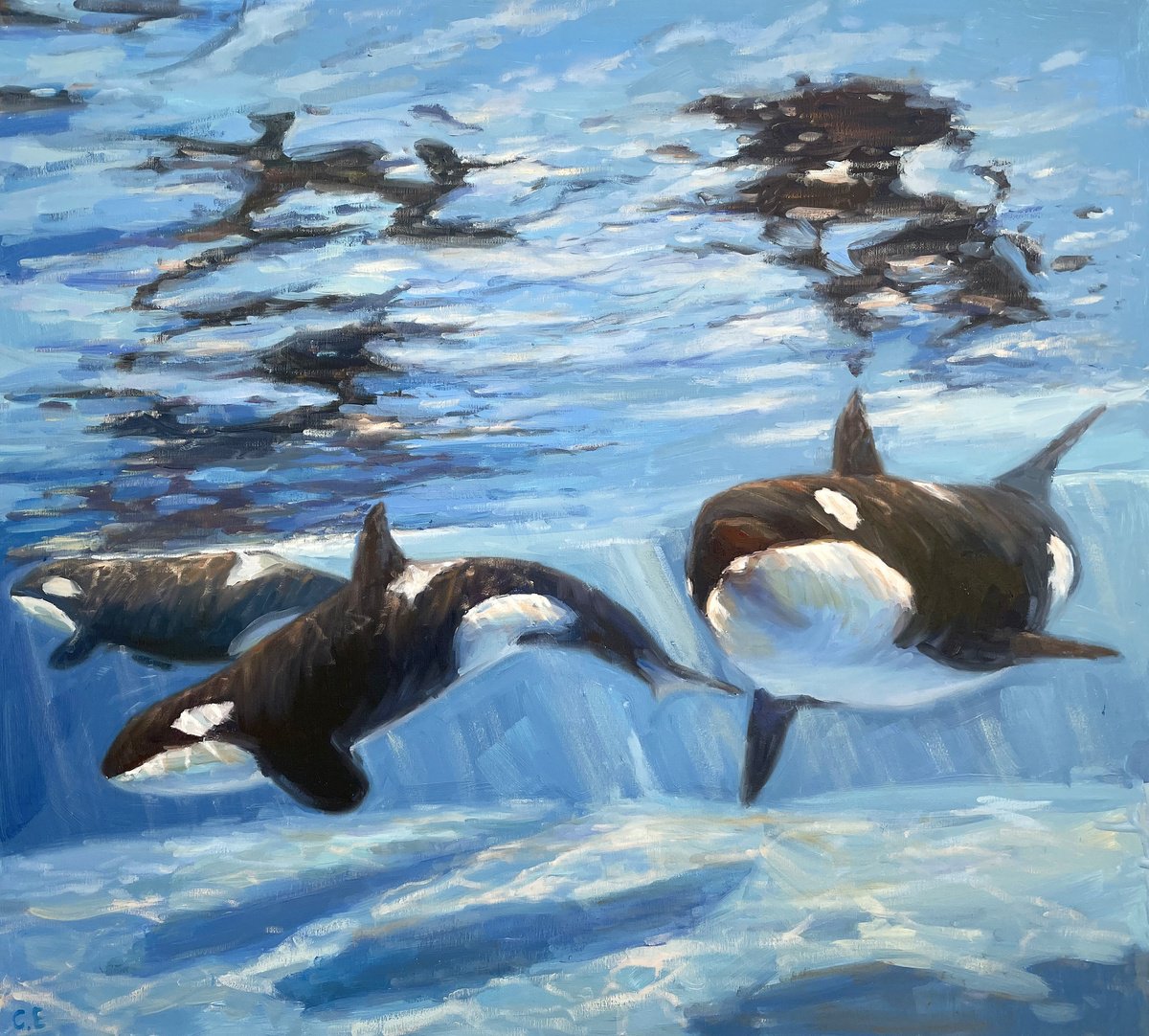 Killer Whales By Evgeny Chernyakovsky, 35 X 31, Artwork For Sale On Artfinder