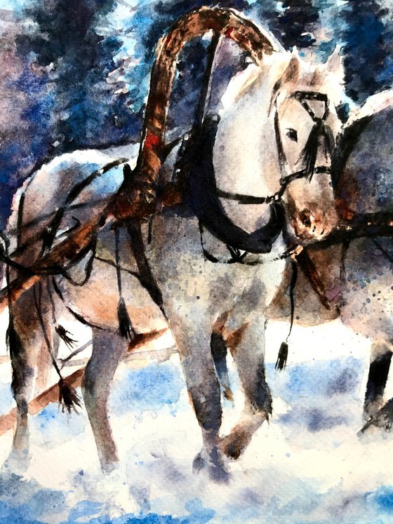 Horses in Winter