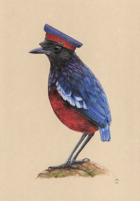 Original pastel drawing bird "Garnet pitta"
